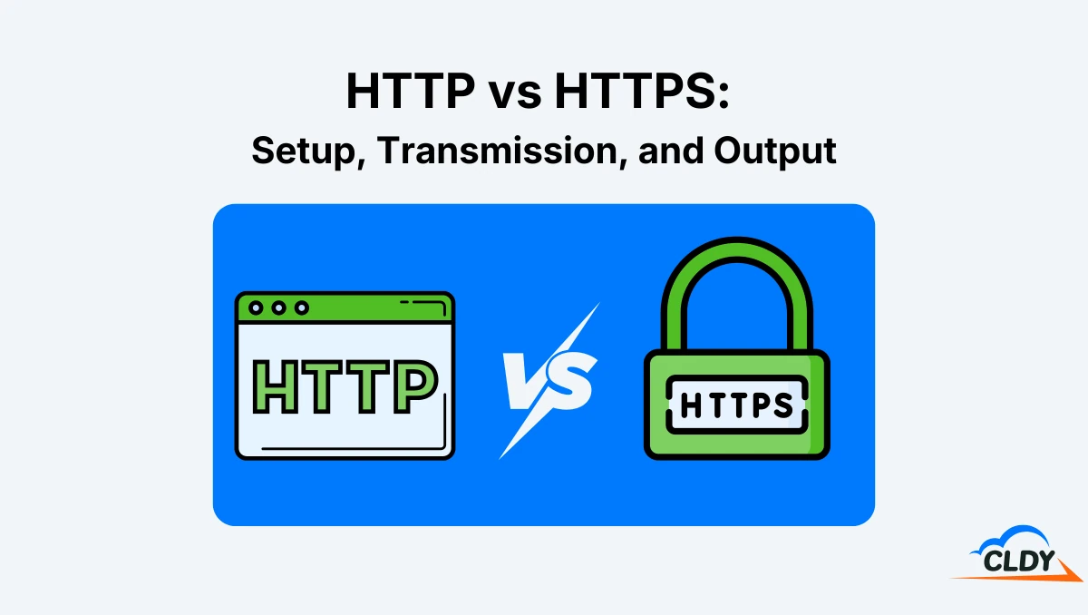 HTTP vs HTTPS: Setup, Transmission, and Output