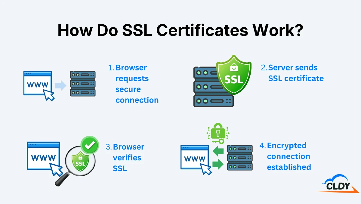 How Do SSL Certificates Work?