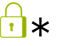 Wildcard SSL Certificate