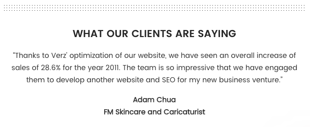 seo services of verz design testimonial