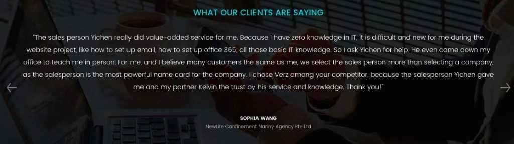 verz design singapore branding services newlife nanny agency