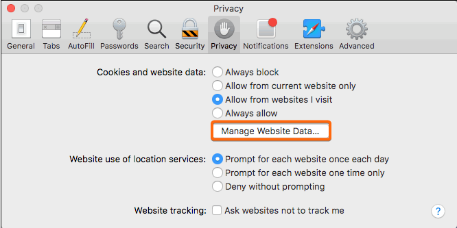 clear cache on safari privacy manage website data